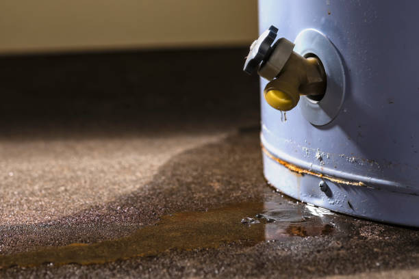 Best Water damage cleanup near me  in Lindenwold, NJ