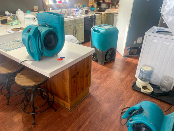 Best Mold removal after water damage  in Lindenwold, NJ