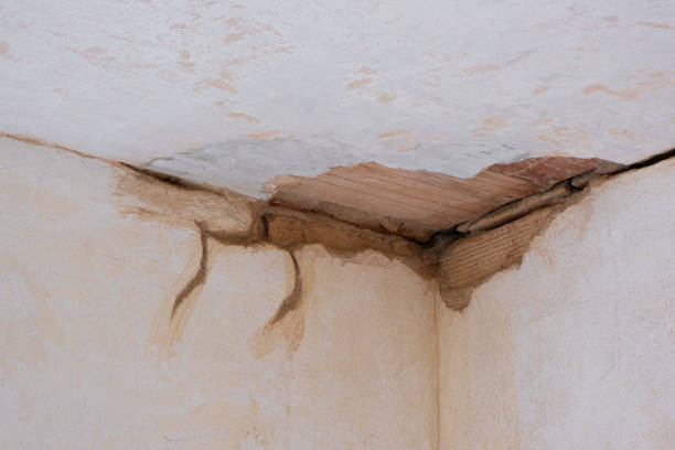 Best Water damage restoration services  in Lindenwold, NJ