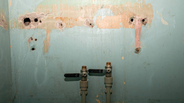  Lindenwold, NJ Water damage restoration Pros