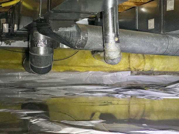 Best Flood restoration services  in Lindenwold, NJ