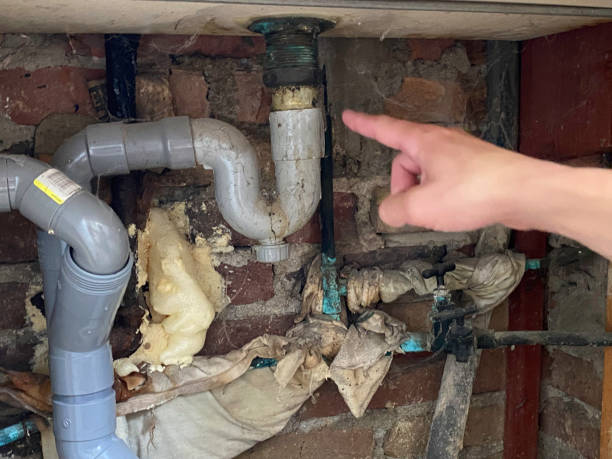 Trusted Lindenwold, NJ Water damage restoration Experts