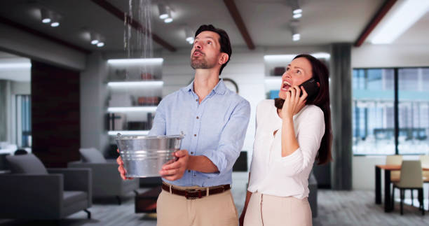 Best Water damage restoration near me  in Lindenwold, NJ