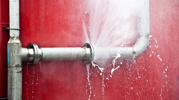Best Local water damage restoration  in Lindenwold, NJ